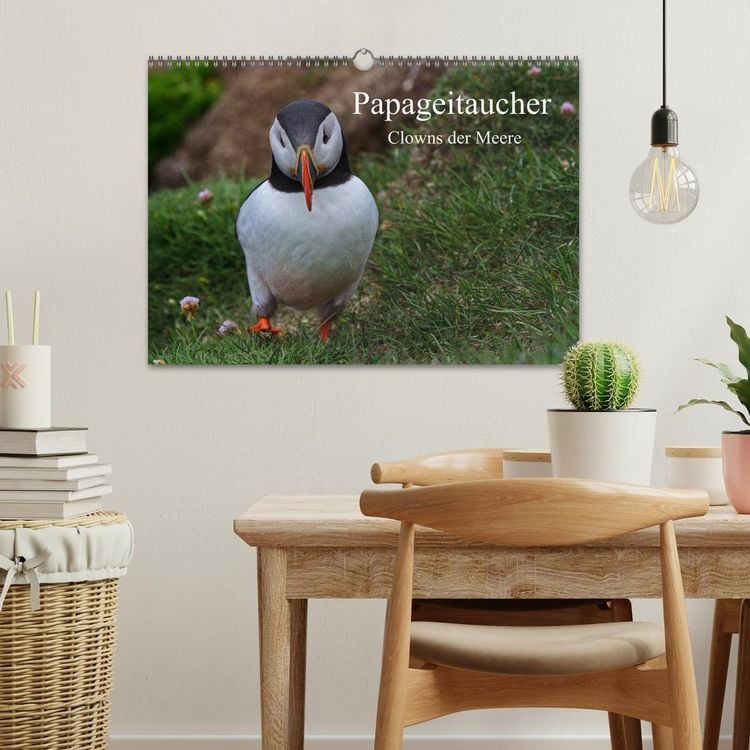 Produktbild: Papageitaucher Clowns der Meere (Wandkalender 2026 DIN A3 quer), CALVENDO Monatskalender
