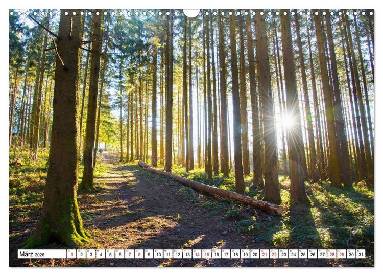 Produktbild: Idyllischer Schwarzwald (Wandkalender 2026 DIN A3 quer), CALVENDO Monatskalender