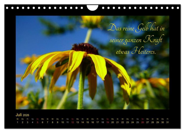 Produktbild: Goethes Gelb Gedanken zur Farbe (Wandkalender 2026 DIN A4 quer), CALVENDO Monatskalender