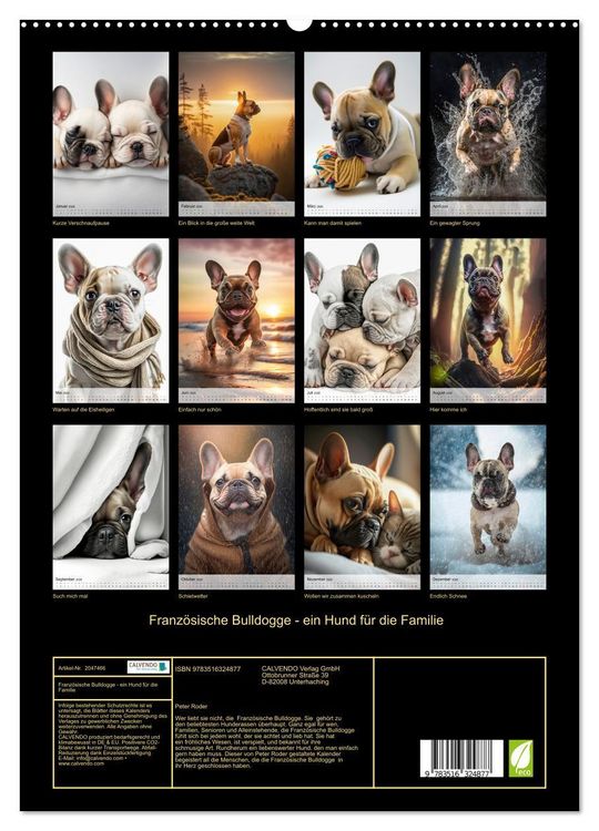 Produktbild: Franz&ouml;sische Bulldogge - ein Hund f&uuml;r die Familie (hochwertiger Premium Wandkalender 2026 DIN A2 hoch), Kunstdruck in Hochglanz