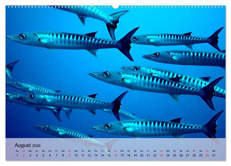 Produktbild: In der Meerestiefe. Fische und Korallen im ewigen Blau (hochwertiger Premium Wandkalender 2026 DIN A2 quer), Kunstdruck in Hochglanz