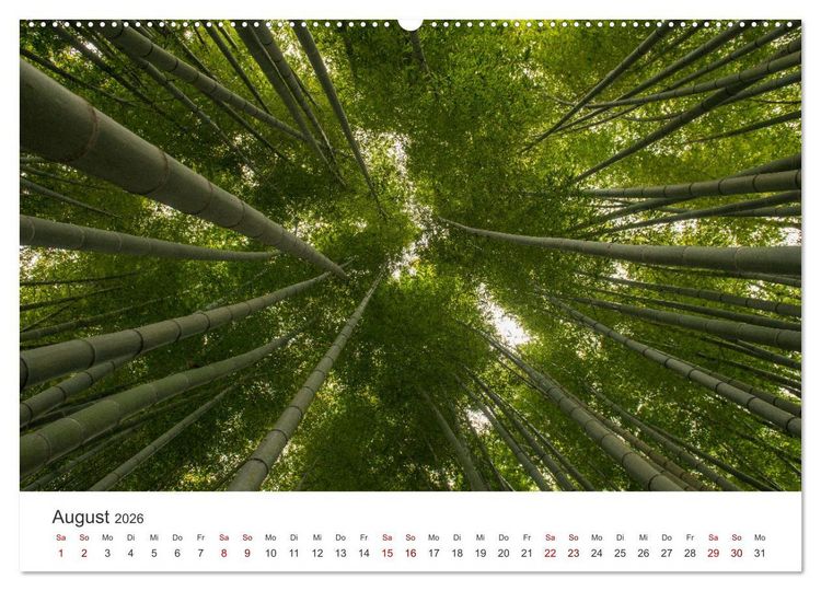 Produktbild: Japanischer Herbst und Laub (Wandkalender 2026 DIN A2 quer), CALVENDO Monatskalender