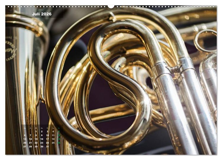 Produktbild: Das Horn, ein herrliches Instrument (hochwertiger Premium Wandkalender 2026 DIN A2 quer), Kunstdruck in Hochglanz
