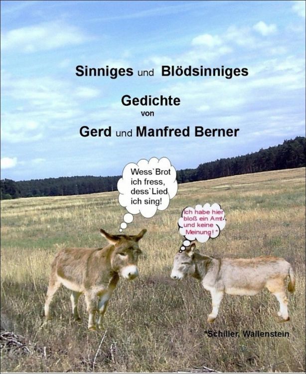 Produktbild: Sinniges und Bl&ouml;dsinniges