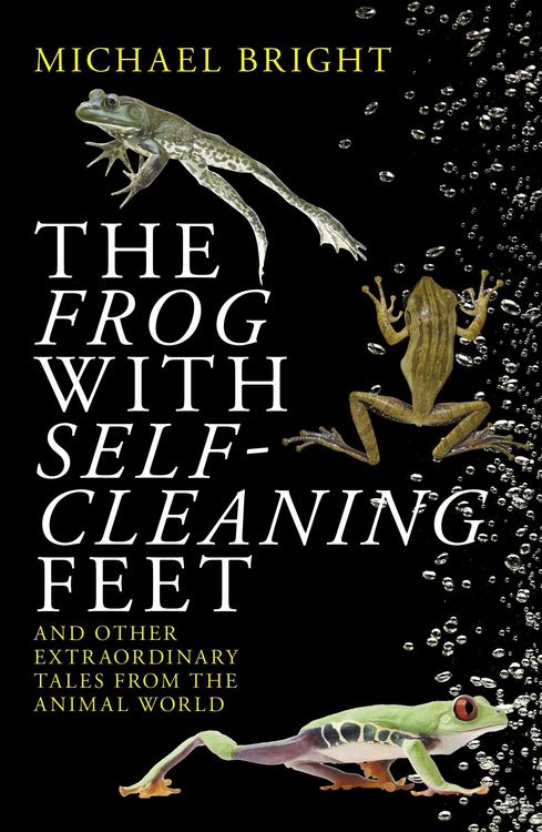 Produktbild: The Frog with Self-Cleaning Feet