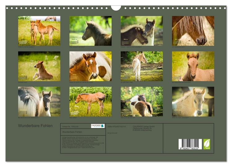 Produktbild: Wunderbare Fohlen (Wandkalender 2026 DIN A3 quer), CALVENDO Monatskalender