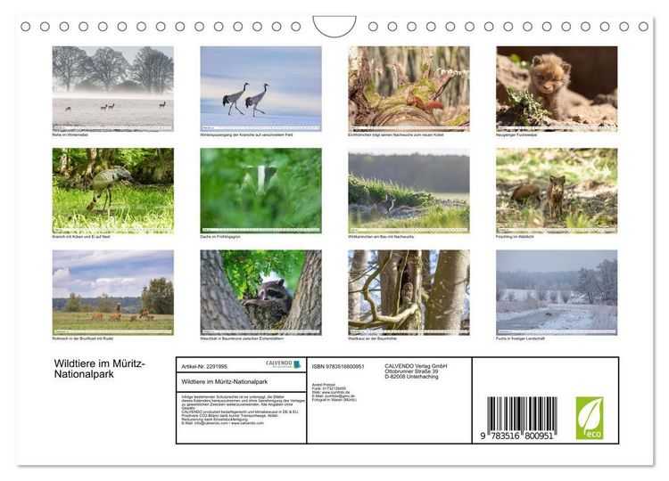 Produktbild: Wildtiere im M&uuml;ritz-Nationalpark (Wandkalender 2027 DIN A4 quer), CALVENDO Monatskalender