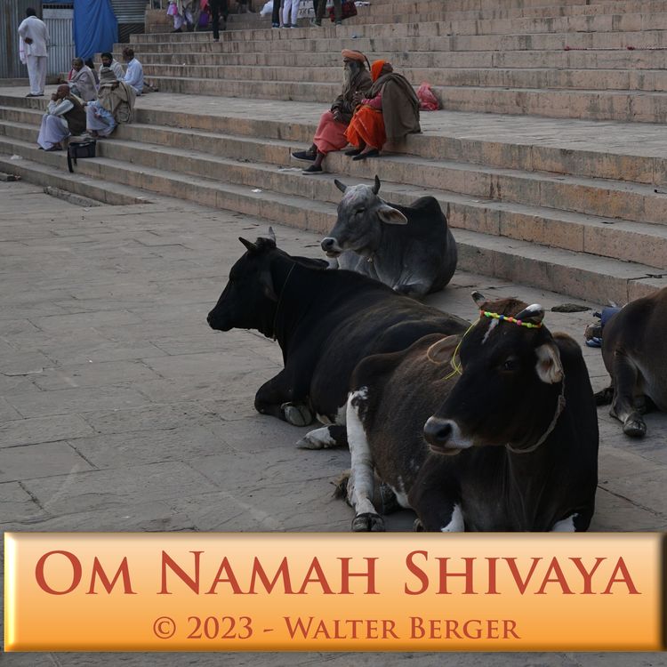 Produktbild: Om Namah Shivaya - 108 Mantras
