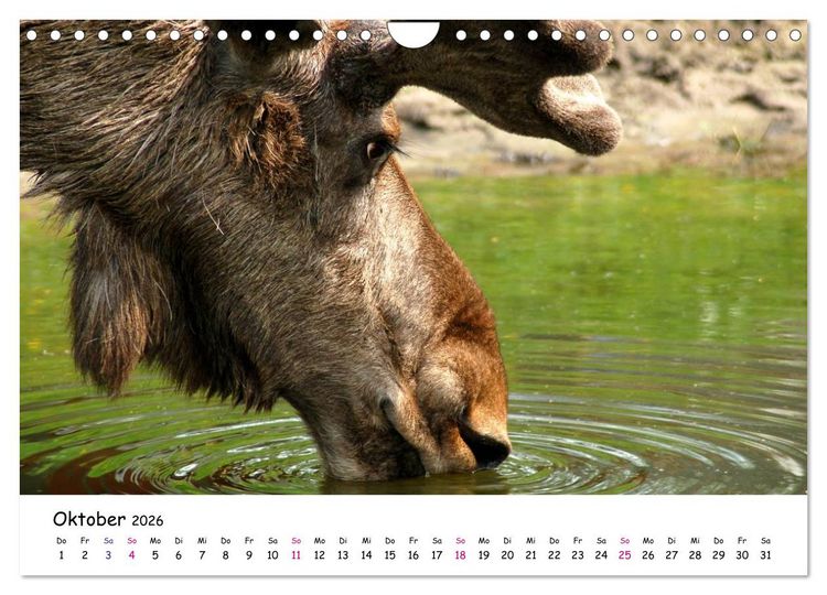 Produktbild: S&uuml;dschweden Smaland 2026 (Wandkalender 2026 DIN A4 quer), CALVENDO Monatskalender