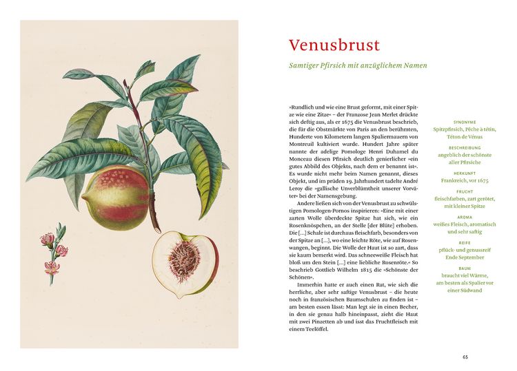 Produktbild: Die alten Obstsorten