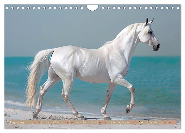 Produktbild: White Horses in Splendor (Wall Calendar 2026 DIN A4 landscape), CALVENDO 12 Month Wall Calendar