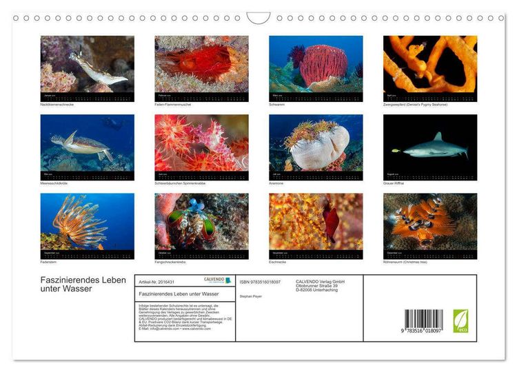 Produktbild: Faszinierendes Leben unter Wasser (Wandkalender 2026 DIN A3 quer), CALVENDO Monatskalender