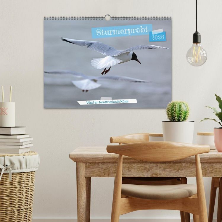 Produktbild: Sturmerprobt - V&ouml;gel an Nordfrieslands K&uuml;ste (Wandkalender 2026 DIN A3 quer), CALVENDO Monatskalender