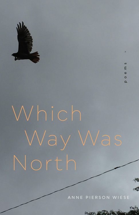 Produktbild: Which Way Was North