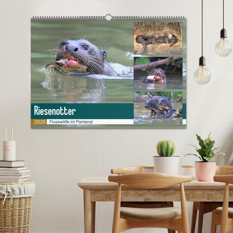 Produktbild: Riesenotter - Flussw&ouml;lfe im Pantanal (Wandkalender 2026 DIN A2 quer), CALVENDO Monatskalender