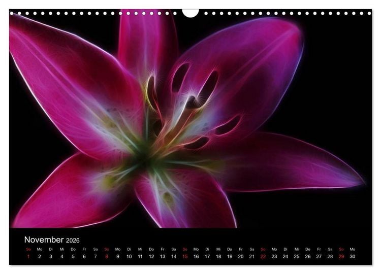 Produktbild: Floral Abstrakt 2026 (Wandkalender 2026 DIN A3 quer), CALVENDO Monatskalender