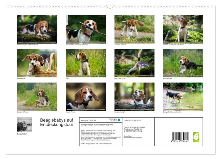 Produktbild: Beaglebabys auf Entdeckungstour (hochwertiger Premium Wandkalender 2026 DIN A2 quer), Kunstdruck in Hochglanz