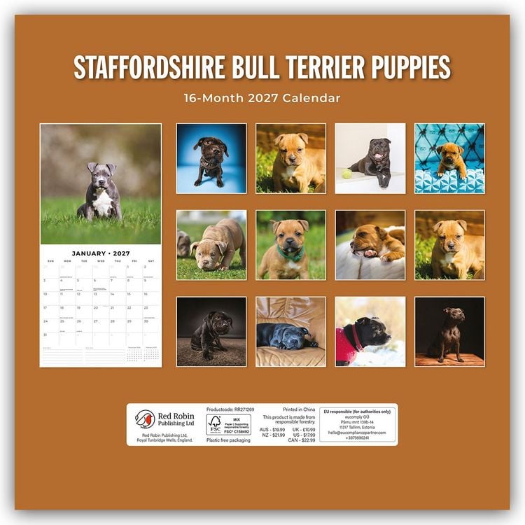 Produktbild: Staffordshire Bull Terrier Puppies &ndash; Staffordshire Bullterrier Welpen 2027 &ndash; 16-Monatskalender