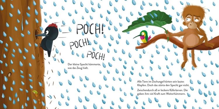 Produktbild: Vom Specht, der ein Kolibri sein wollte