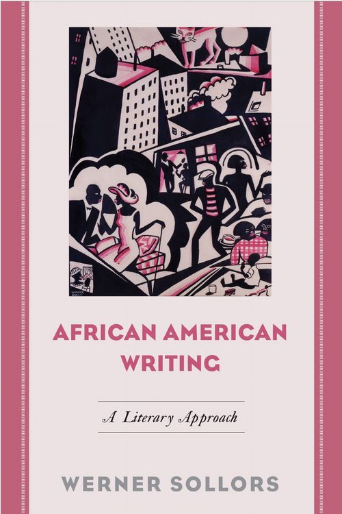 Produktbild: African American Writing: A Literary Approach