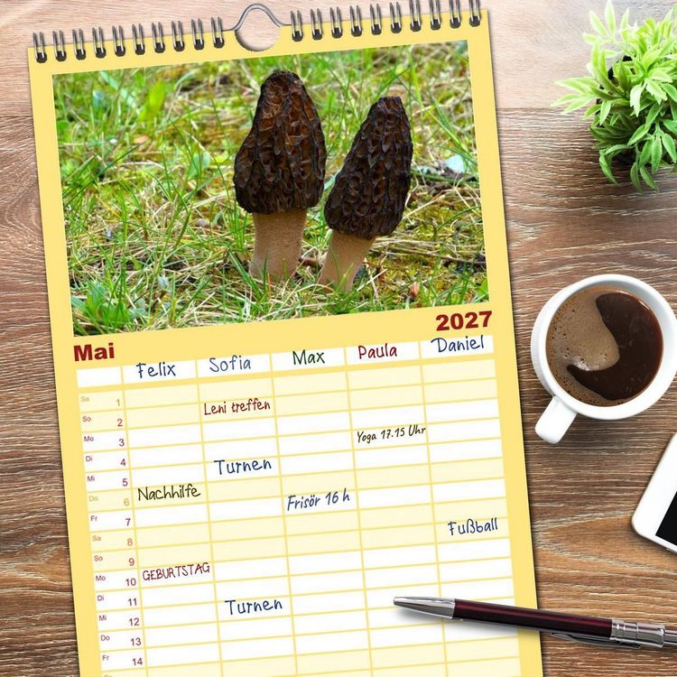 Produktbild: Familienplaner 2027 - Heimische Pilze mit 5 Spalten (Wandkalender, 21 x 45 cm) CALVENDO