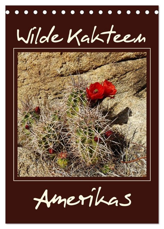Produktbild: Wilde Kakteen Amerikas (Tischkalender 2027 DIN A5 hoch), CALVENDO Monatskalender