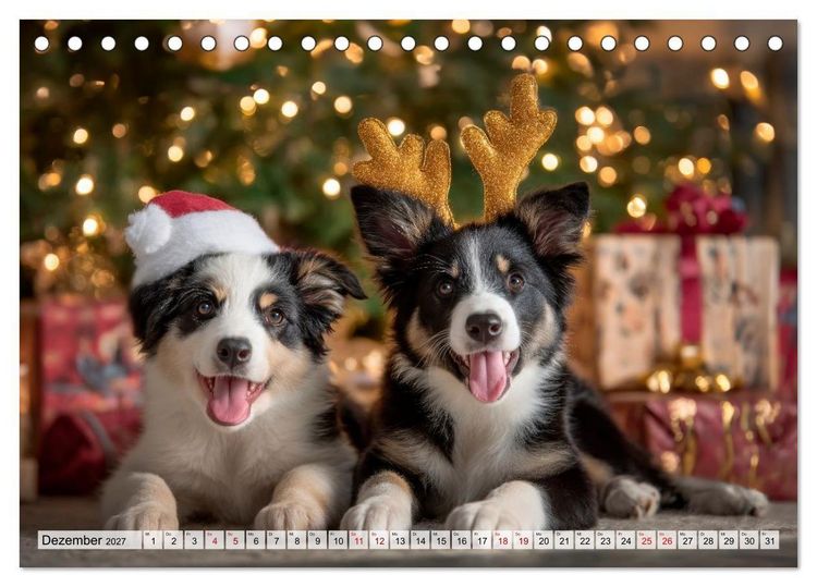 Produktbild: Border Collie - Magische Augenblicke (Tischkalender 2027 DIN A5 quer), CALVENDO Monatskalender