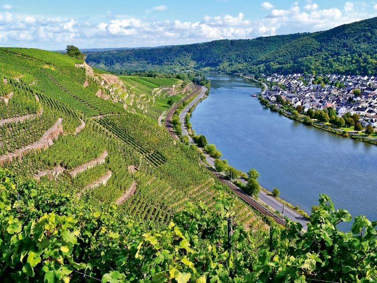Produktbild: CALVENDO Puzzle Steillagen in Winningen an der Mosel | 1000 Teile Lege-Gr&ouml;&szlig;e 64x48cm Foto-Puzzle f&uuml;r gl&uuml;ckliche Stunden