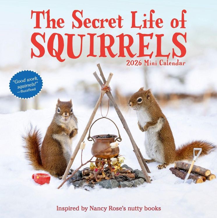 Produktbild: Secret Life of Squirrels Mini Wall Calendar 2026