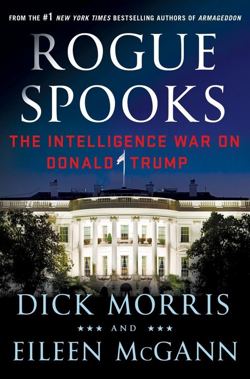 Produktbild: Rogue Spooks