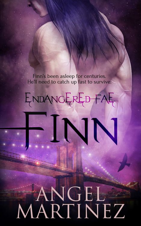 Produktbild: Finn