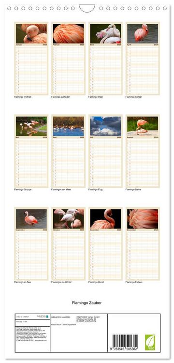 Produktbild: Familienplaner 2026 - Flamingo Zauber mit 5 Spalten (Wandkalender, 21 x 45 cm) CALVENDO