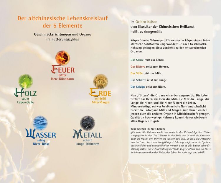 Produktbild: Mit der 5-Elemente-Ern&auml;hrung zur Wohlf&uuml;hlfigur