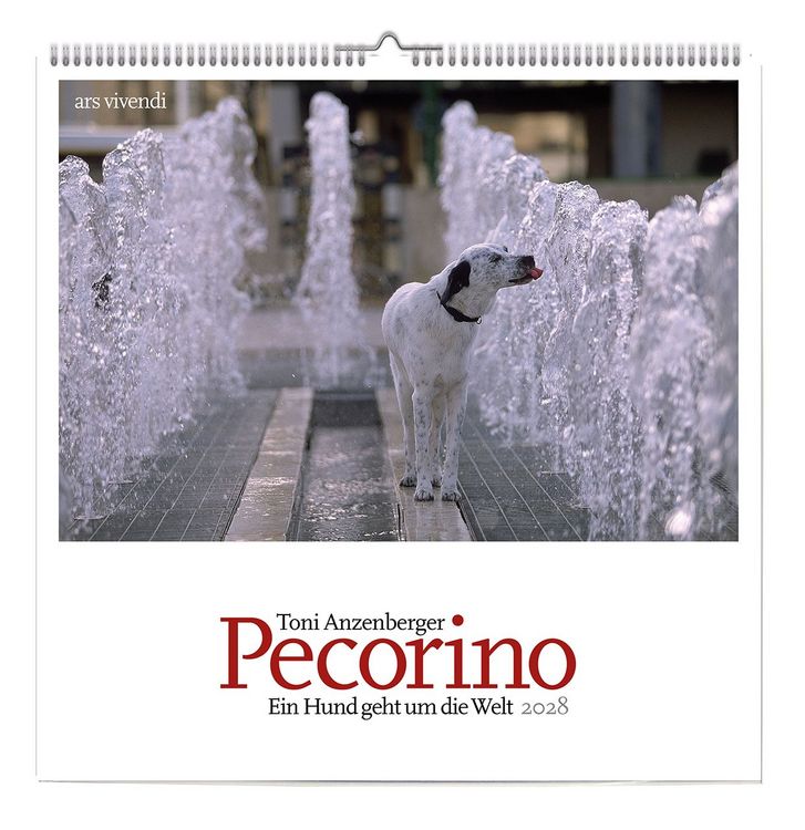 Produktbild: Pecorino - Ein Hund geht um die Welt 2028