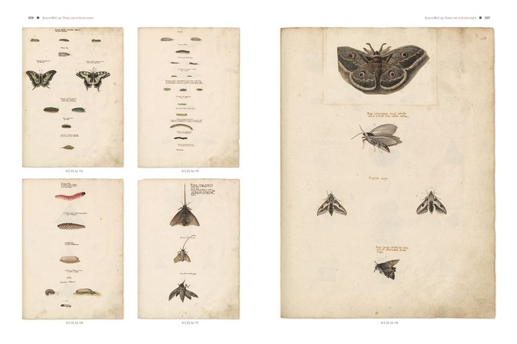 Produktbild: Conrad Gessners Thierbuch