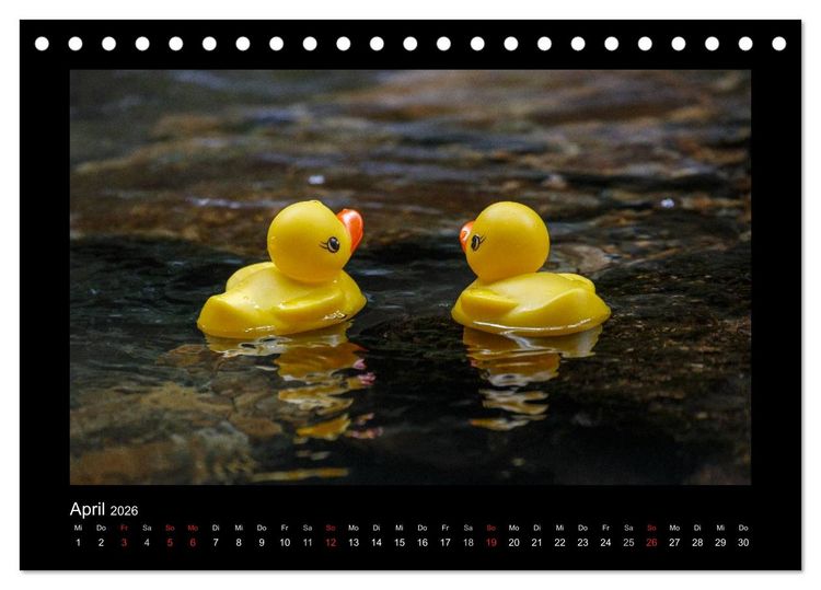 Produktbild: Enten-Rennen (Tischkalender 2026 DIN A5 quer), CALVENDO Monatskalender