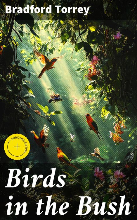 Produktbild: Birds in the Bush