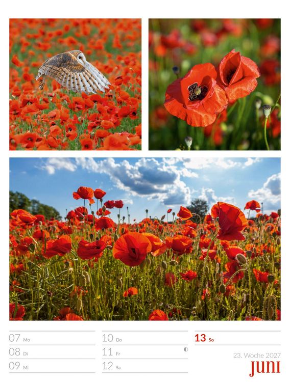 Produktbild: Farben der Natur Wochenplaner Kalender 2027