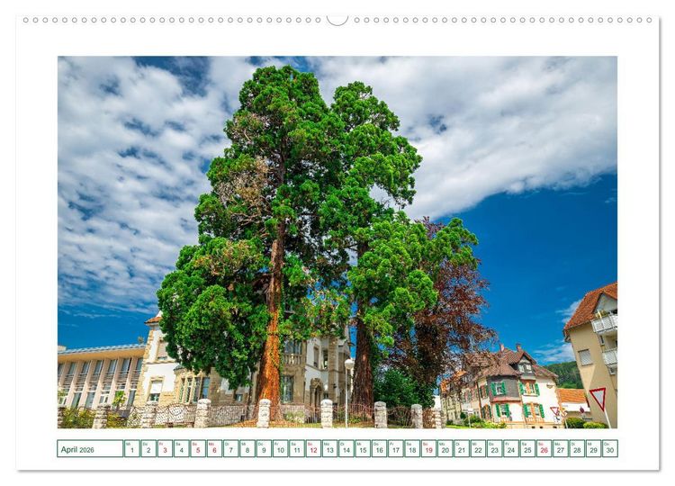 Produktbild: Gottmadingen im Hegau (hochwertiger Premium Wandkalender 2026 DIN A2 quer), Kunstdruck in Hochglanz