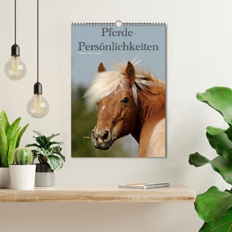 Produktbild: Pferde-Pers&ouml;nlichkeiten - ausdrucksstarke Gesichter verschiedener Pferderassen (Wandkalender 2026 DIN A3 hoch), CALVENDO Monatskalender