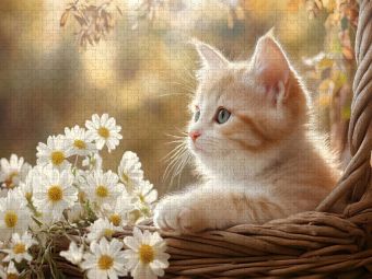 Produktbild: CALVENDO Puzzle Rotes Katzenbaby im Blumenkorb | 1000 Teile Lege-Gr&ouml;&szlig;e 64x48cm Foto-Puzzle f&uuml;r gl&uuml;ckliche Stunden