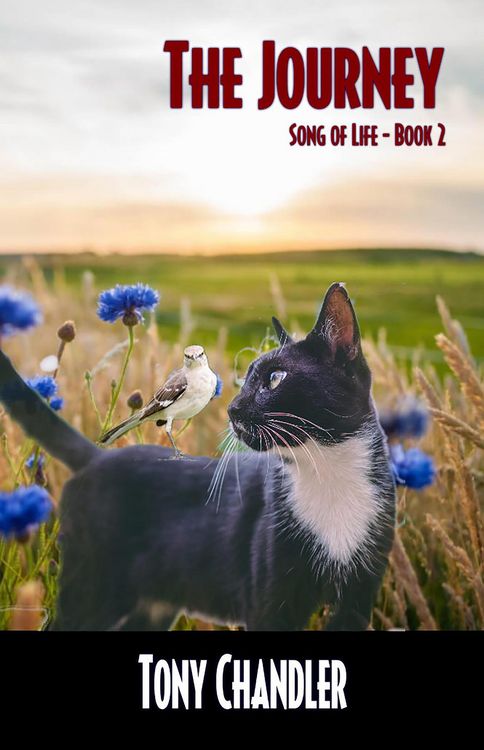 Produktbild: The Journey (Song of Life - Book 2)