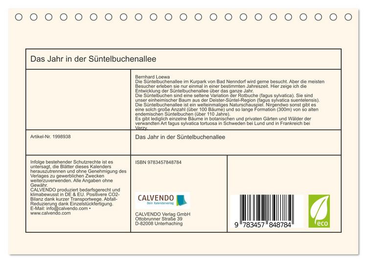 Produktbild: Das Jahr in der S&uuml;ntelbuchenallee (Tischkalender 2026 DIN A5 quer), CALVENDO Monatskalender