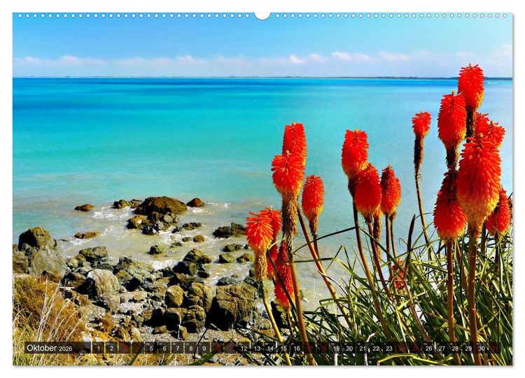 Produktbild: Neuseeland, S&uuml;dpazifische Inseln (Wandkalender 2026 DIN A2 quer), CALVENDO Monatskalender