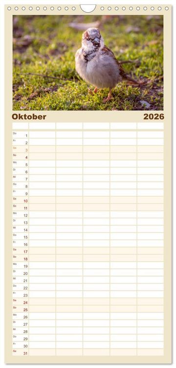 Produktbild: Familienplaner 2026 - Spatzen mit 5 Spalten (Wandkalender, 21 x 45 cm) CALVENDO
