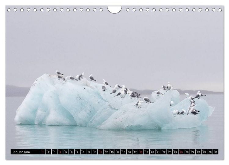 Produktbild: Spitzbergen - Arktische Impressionen (Wandkalender 2026 DIN A4 quer), CALVENDO Monatskalender
