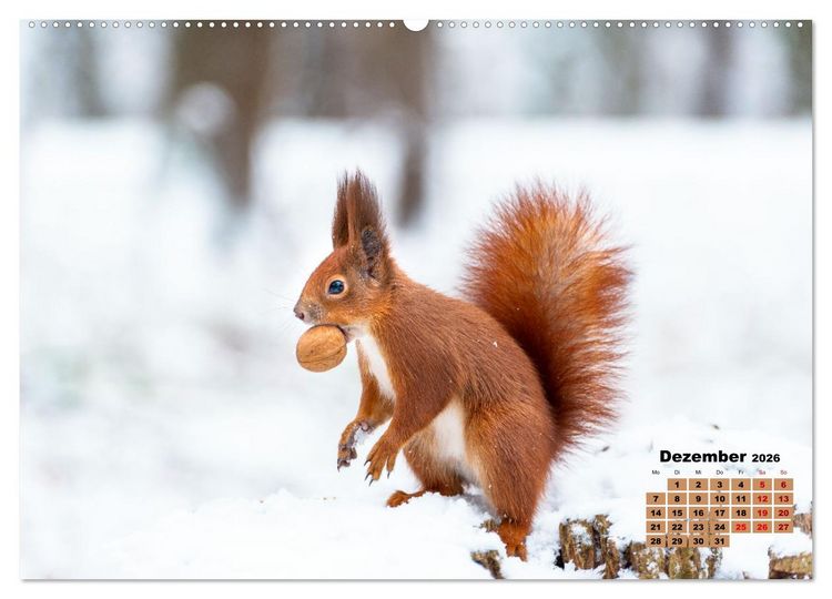 Produktbild: Tiere in freier Wildbahn by VogtArt (hochwertiger Premium Wandkalender 2026 DIN A2 quer), Kunstdruck in Hochglanz