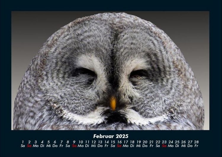 Produktbild: Vogelparadies 2025 Fotokalender DIN A4