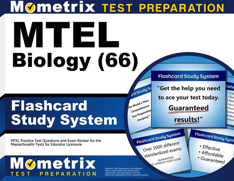 Produktbild: MTEL Biology (66) Flashcard Study System