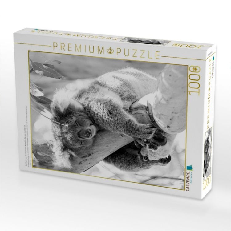 Produktbild: CALVENDO Puzzle Ein Motiv aus dem Kalender Koala Ein B&auml;r, der kein B&auml;r ist | 1000 Teile Lege-Gr&ouml;&szlig;e 64x48cm Foto-Puzzle f&uuml;r gl&uuml;ckliche Stunden